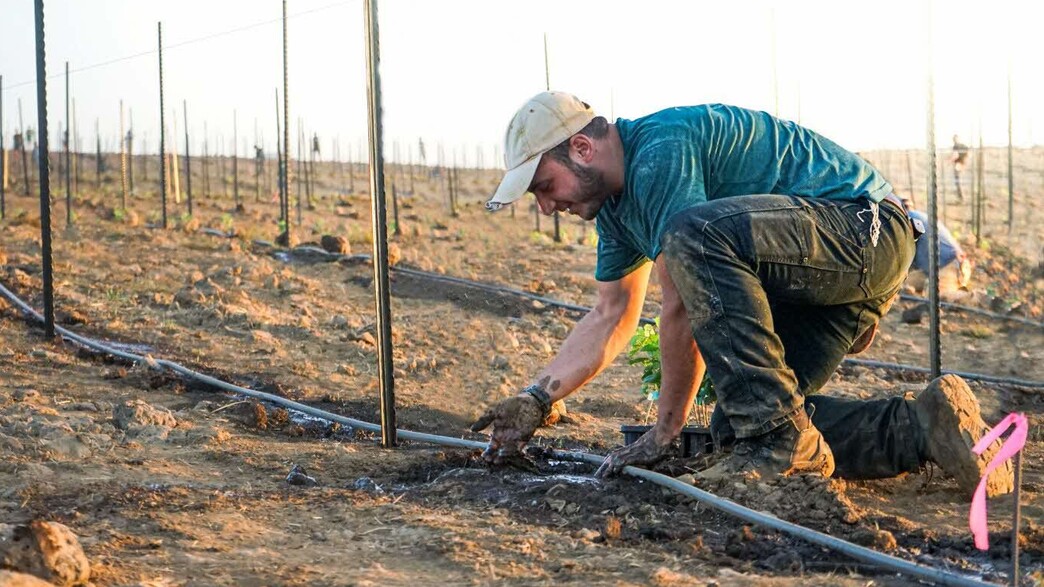 הפריח את הצפון, נפל בהגנה עליו: המיזם שיסייע בהנצחת הלוחם
