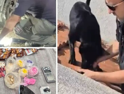 הפשיטה של השוטרים על הגג חשפה מה ניסה העבריין להחביא