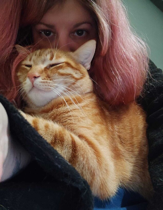 מיה איזק ושלושת החתולים שלה