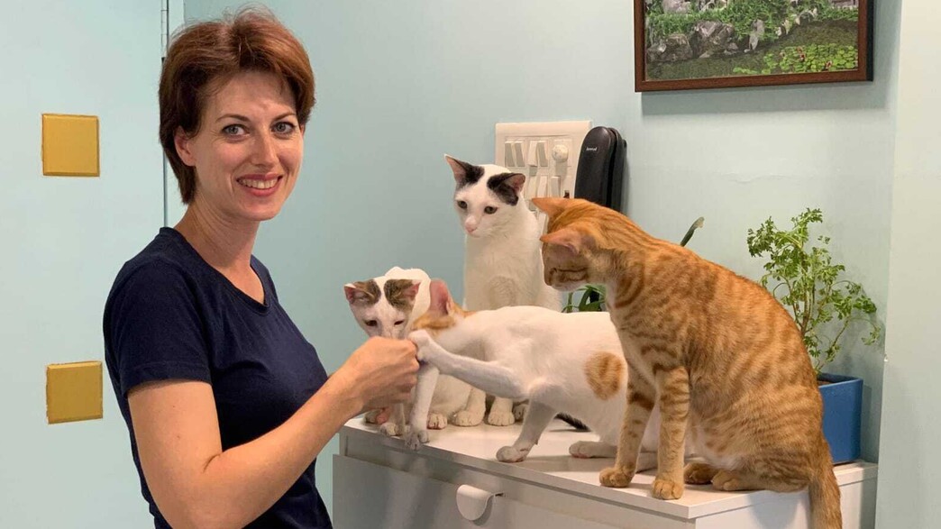 399 שקל לשיחה עם החתול: 