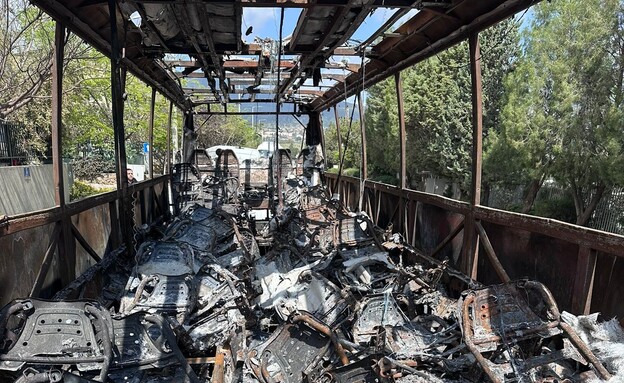 פרוטקשן בצפון