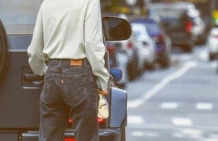 ה'גינס המושלם (צילום: stylepines, instagram)