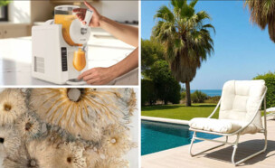 צרכנות, אפריל 26 בירה מלכה (צילום: יחצ הכרם לבירה מלכה)