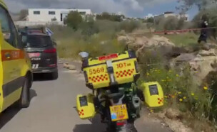 הזירה בירכא (צילום: דוברות מד"א)