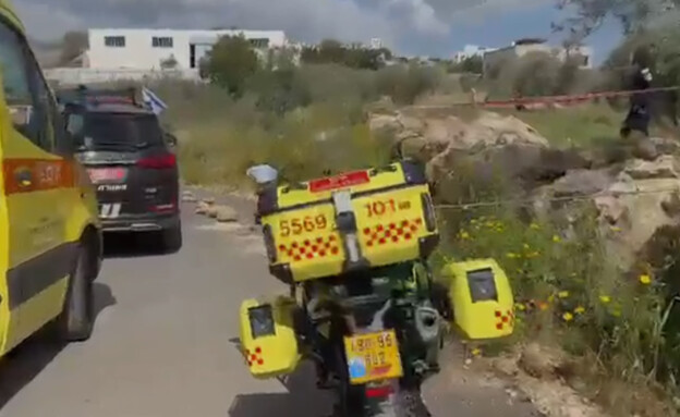 הזירה בירכא