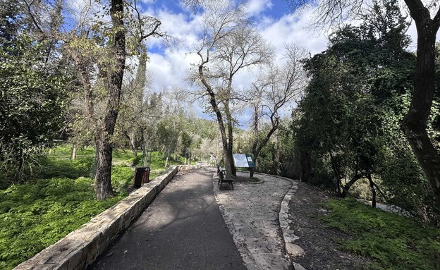 נחל השופט שביל נגיש