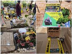 (באדיבות עמותת `המנורה`)