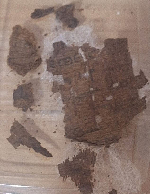 הטקסט היווני העתיק שנמצא בתוך מומיה