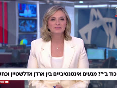 20likud_vtr2_n20260425_v1 (צילום: חדשות)
