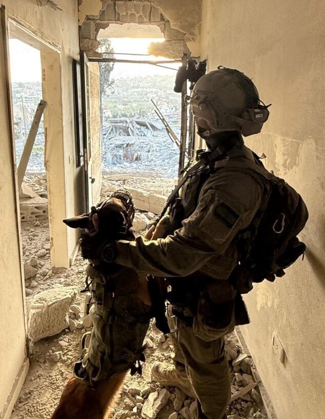 ברני כלבת עוקץ