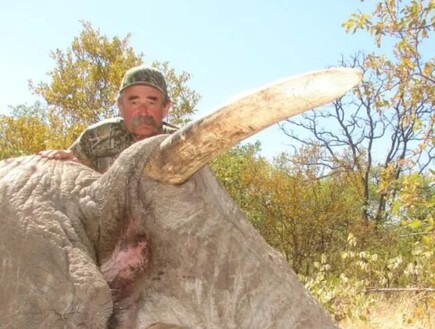 "הצייד המיליונר" ניסה לצוד אנטילופה - ונדרס למוות על ידי פילים