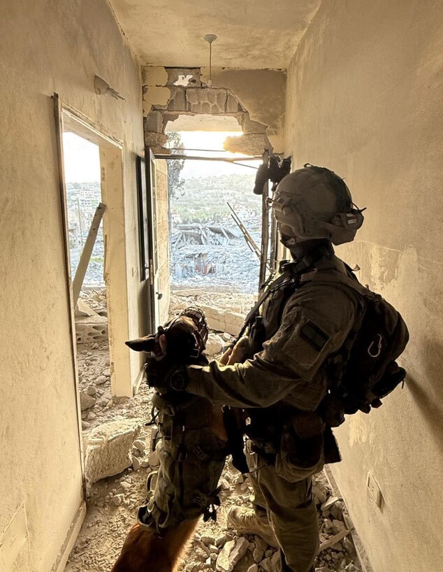 כלבת תקיפה חשפה מחבלים במהלך פעילות של חטיבת צנחנים בבינת ג'ביל