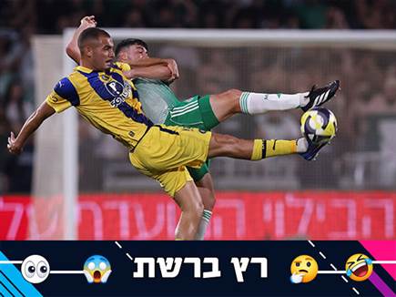 (מאור אלקסלסי) (מאור אלקסלסי)