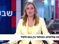 19benamit_vtr2_n20260426_v1 (צילום: חדשות)