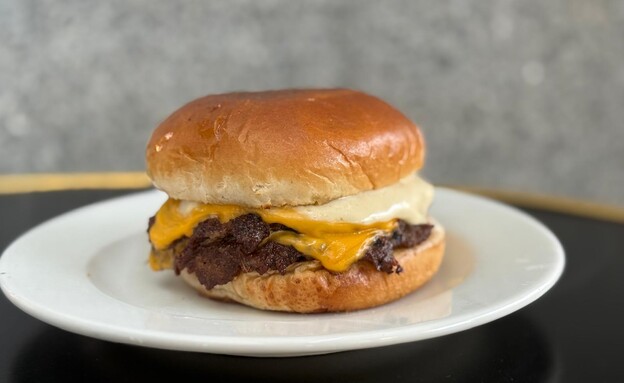 אליבי רום. מודיעין