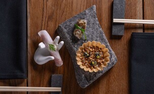 אמיוז בוש טרטלט צנוברים וג'ל רוזמרין (צילום: דוד ששון, יחסי ציבור)