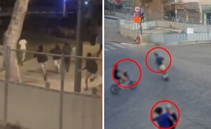 כנופיית שפירא - SSQ