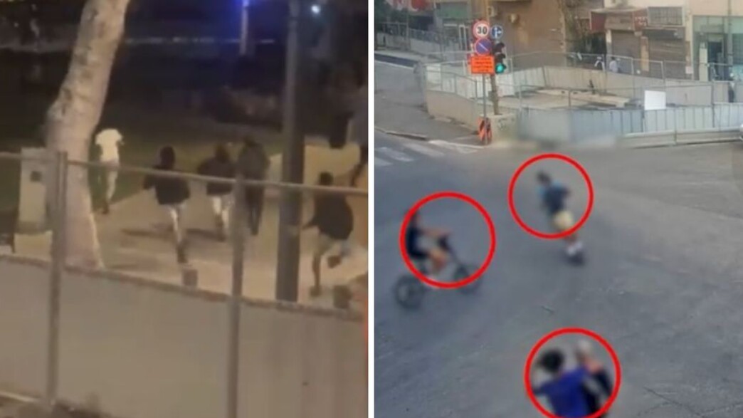 כנופיית שפירא - SSQ