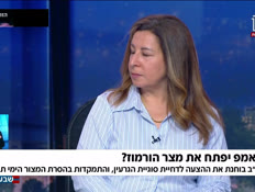 19hourmouz_vtr2_n20260428_v1 (צילום: חדשות)