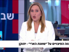 19pitzuim_vtr2_n20260428_v1 (צילום: חדשות)