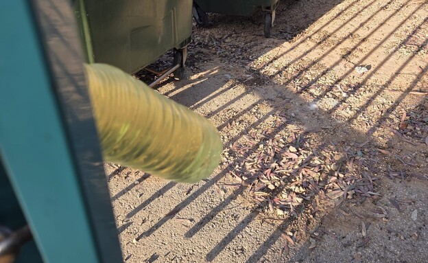 הצתות ואיומים: מכת הפרוקטשן בצפון