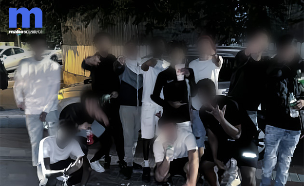 כנופיית SSQ (צילום: מתוך עמוד הטיקטוק של SSQ)