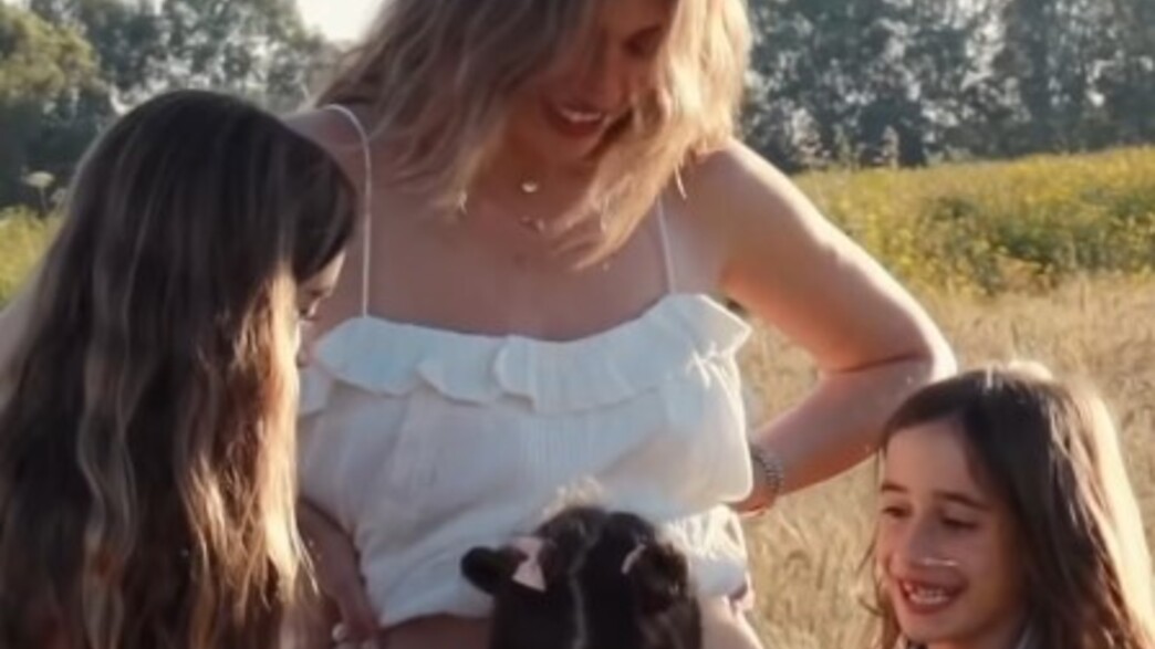 אוולין אבנשטיין 