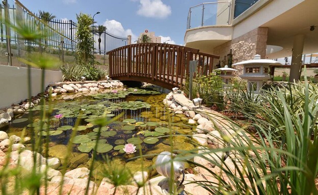 מרכז פלנתניה
