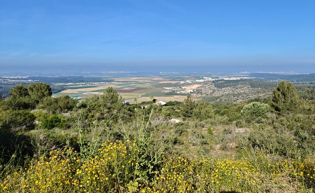 הנוף