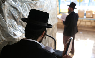 חרדי מתפלל בצפת (אילוסטרציה: David Cohen 156, shutterstock)