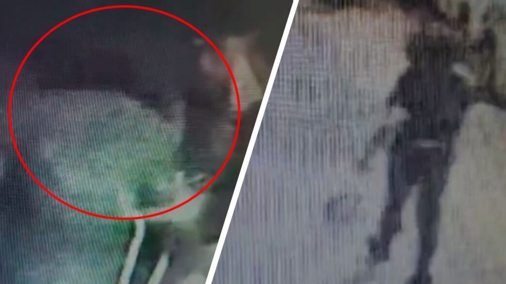 האישה שהטילה אימתה על תל אביב