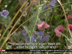 20hamusaftrip_vtr2_n20260430_v1 (צילום: חדשות)