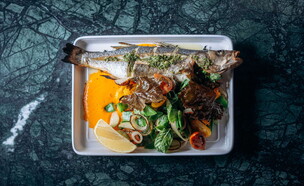 מנות מהתפריט של מסעדת תלם (צילום: דריה קוזמינה, יחסי ציבור)