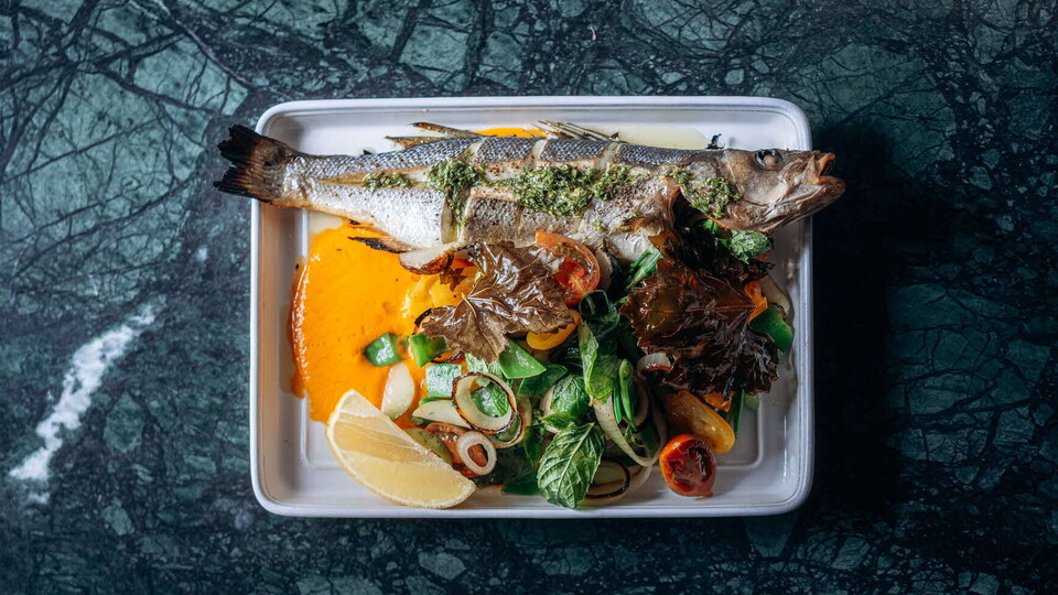 מנות מהתפריט של מסעדת תלם (צילום: דריה קוזמינה, יחסי ציבור)