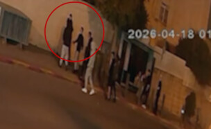 aלושה קטינים תקפו נער בשכונת פסגת זאב (צילום: דוברות המשטרה)