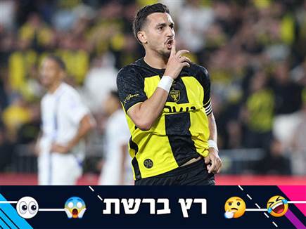 (אלן שיבר) (אלן שיבר)