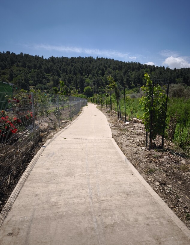 פסטיבל אביב זמן גליל מערבי פסטיבל אביב זמן גליל מערבי