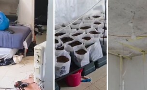 מעבדת הידרו אותרה בדירה