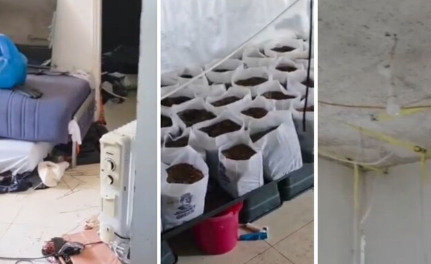 מעבדת הידרו אותרה בדירה