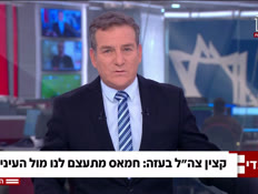 20gaza_vtr2_n20260504_v1 (צילום: חדשות)