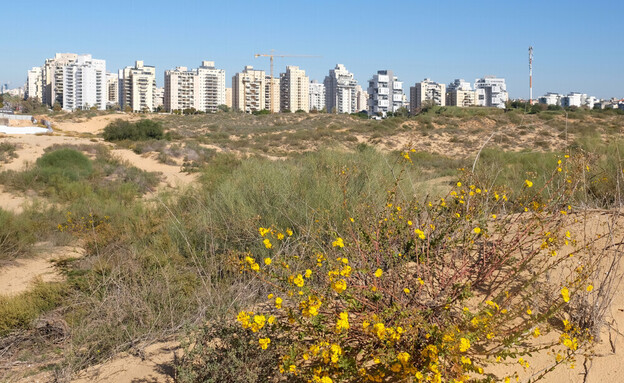 חולון (צילום: Boris_V, shutterstock)