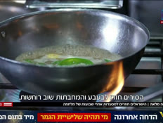 20misadot_vtr2_n20260505_v1 (צילום: חדשות)