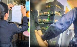 מעצר השב"ח במסעדה בתל אביב