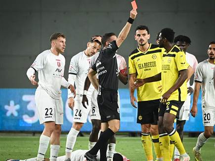 (ברני ארדוב) (ברני ארדוב)