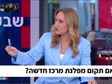 19likusfight_vtr2_n20260506_v1 (צילום: חדשות)