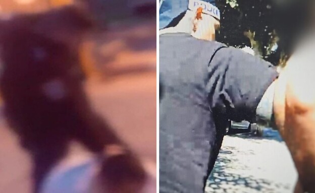 מעצר