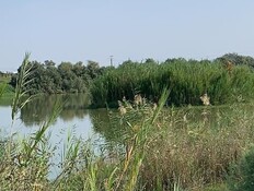 נחל אלכסנדר (צילום: יעל רזניק) נחל אלכסנדר (צילום: יעל רזניק)