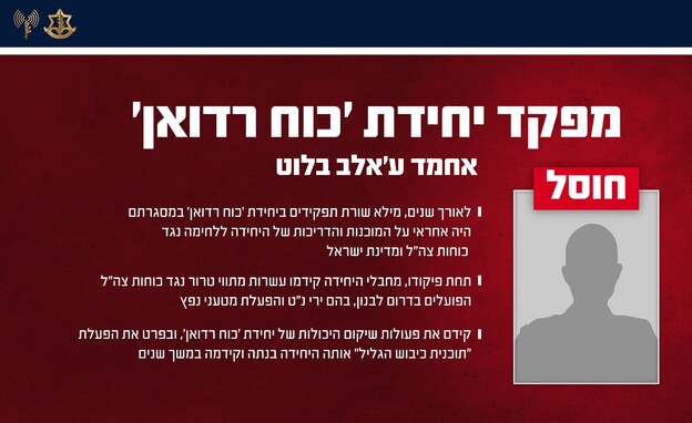 צה"ל חיסל את מפקד יחידת 'כוח רדואן' בארגון הטרור חיזבאללה