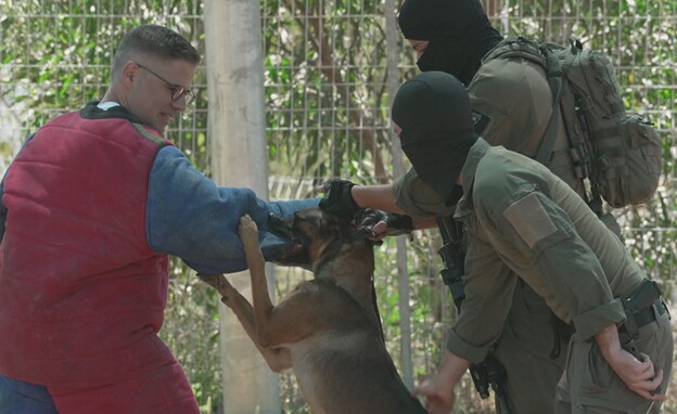לוחמים עם הכלבה עמליה