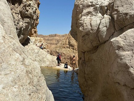 המדבר מתמלא: גבים בנחל צאלים ותצפיות על ים המלח
